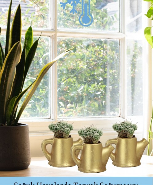 Mini Çiçek Saksı Küçük Sukulent Altın Kaktüs Saksısı 3lü Set Mini Çaydanlık Model